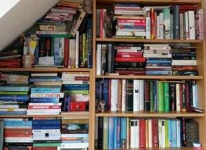 Foto: Zwei Regale, die vollgestopft mit Büchern sind