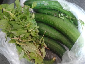 Foto: Gerettete Gurken und ein Bund Minze