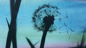 Foto: StreetArt Graffiti von einer Pusteblume