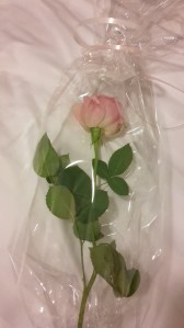 Foto: Rosafarbene Rose liegt auf einem Bett