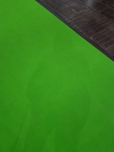 Foto: Nadines Schatten lässt sich leicht auf einem grünen Teppich erkennen.